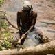Yassene chops open a bees’ nest in a felled tree in the Niassa National Reserve, Mozambique.